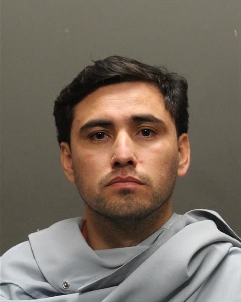 Mug shots 2019
